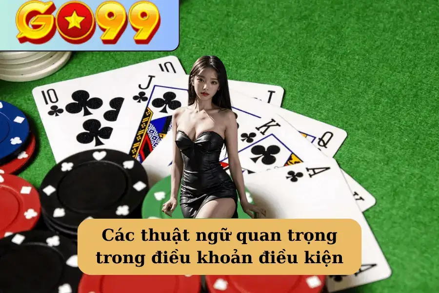 Thuật ngữ trong điều khoản điều kiện tại go99